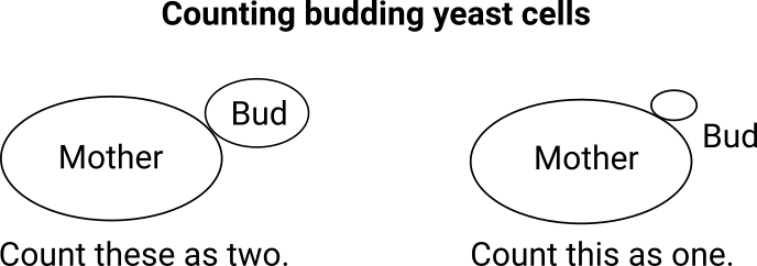 Instructions on counting yeast from the Australian Wine Research Institute 