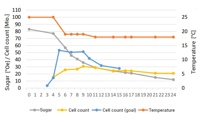Oculyze FW in practice: Fermentation curve with yeast cell counts