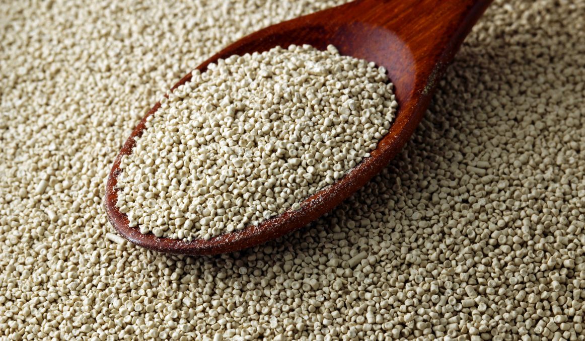 Is Ale Yeast a Bottom Fermenting Yeast? And Why It Matters