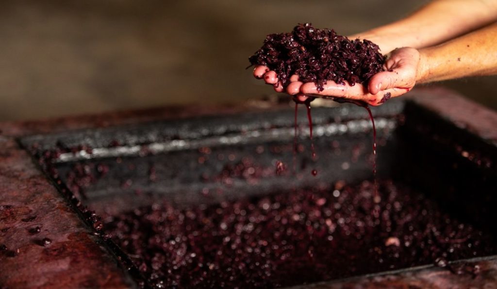 Stuck Fermentation in Wine Making Causes and Solutions