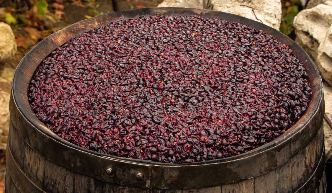Fermentación del vino casero Fermentación del vino casero