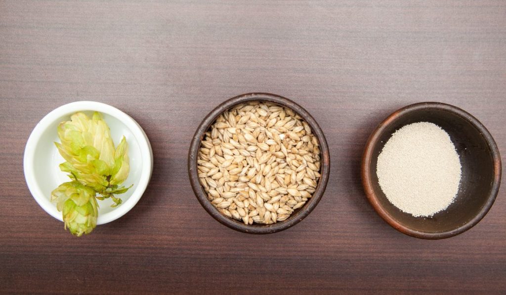 Wild Yeast Contamination in Beer Causes and Prevention