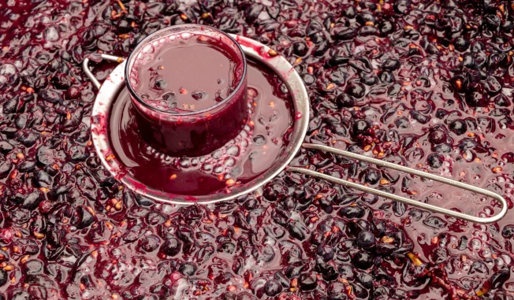Adding Yeast Nutrient During Wine Fermentation Need to Know