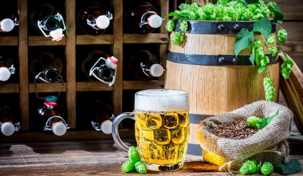 What Temperature Should Beer Be Stored At? Things to Know