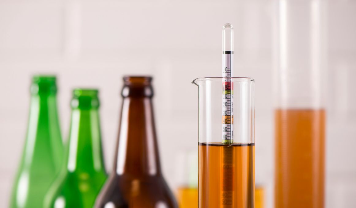 What Temperature Should Beer Be Stored At? Things to Know
