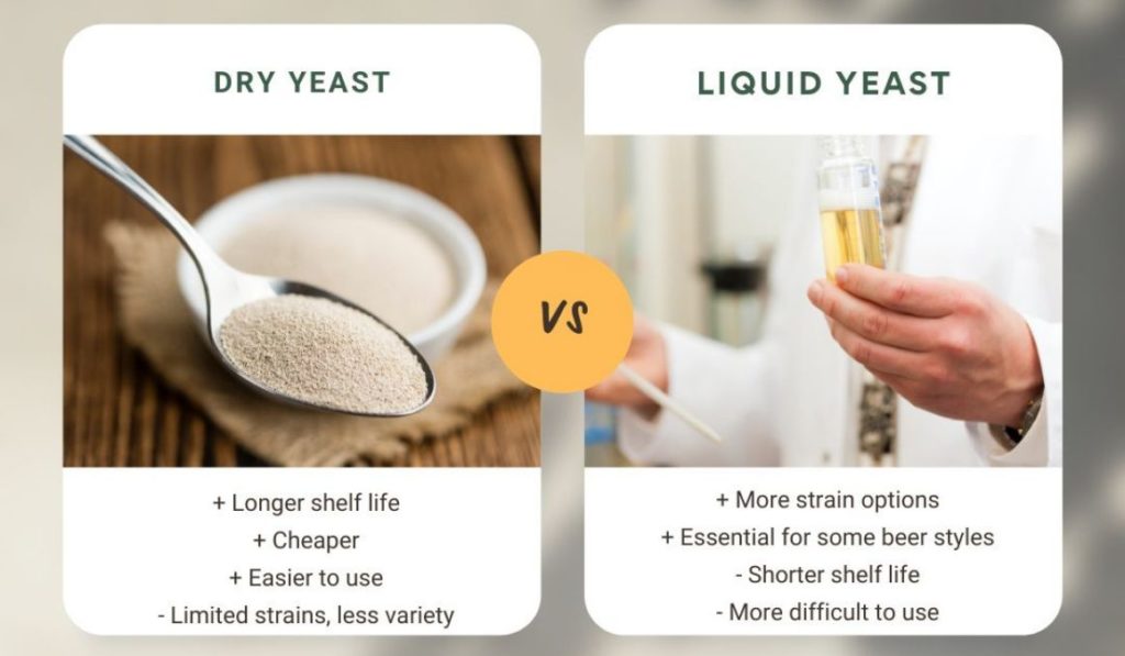 Can Beer Yeast Be Reused? How to Repitch Yeast