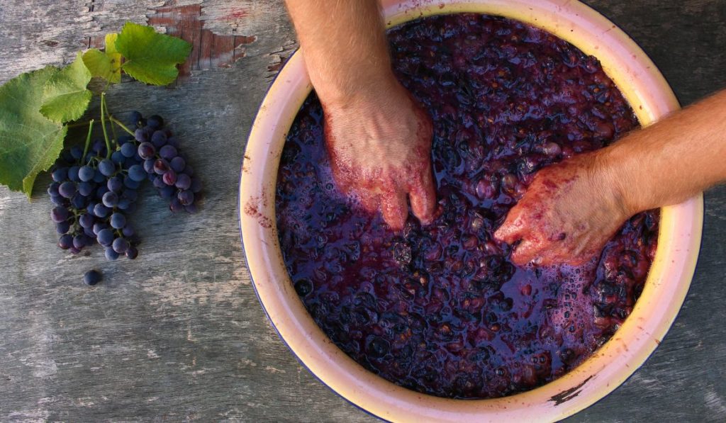 Can You Make Your Own Yeast for Wine? Your Complete Guide