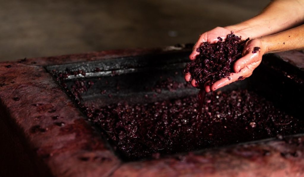 What Temperature Is Wine Fermented At? Your Guide