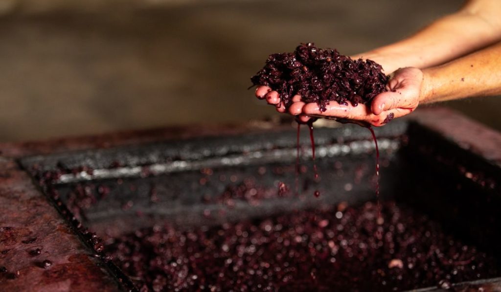 How to Measure Sugar Content When Making Wine