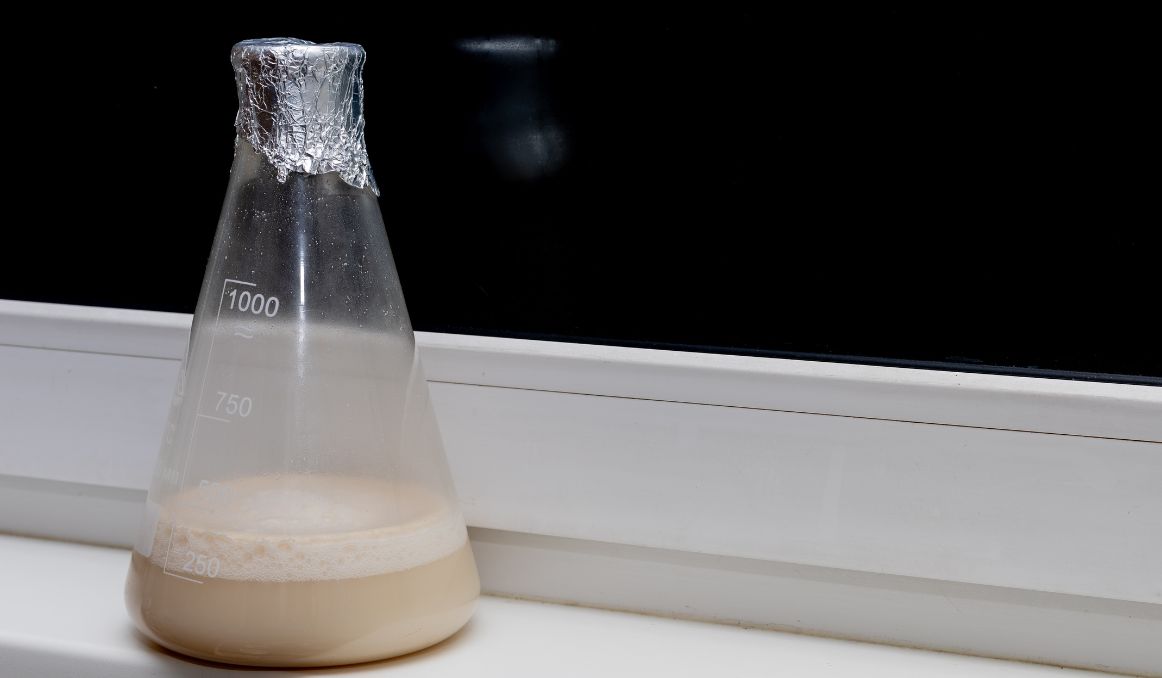 How to Propagate Yeast for Brewing