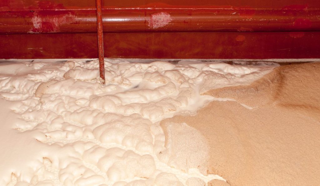 How to Propagate Yeast for Brewing