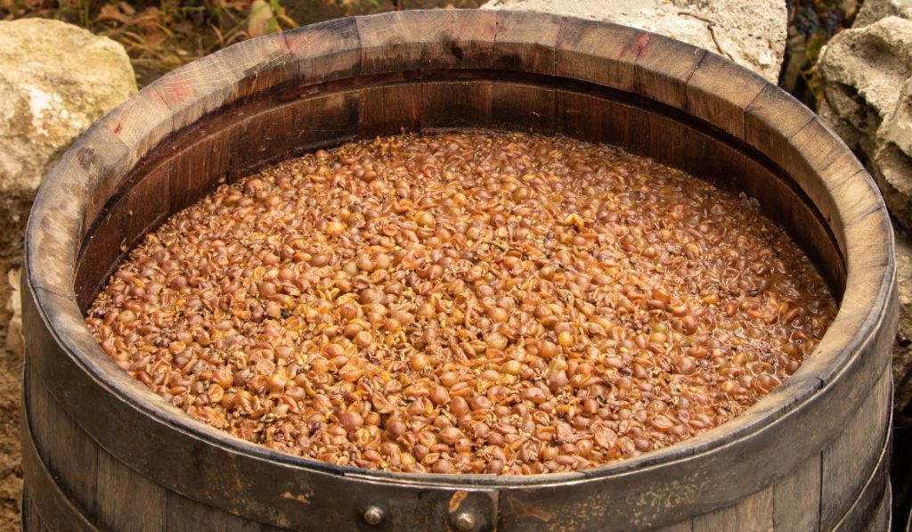 How to Stop Wine from Fermenting