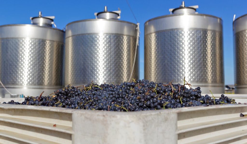 How to Stop Wine from Fermenting