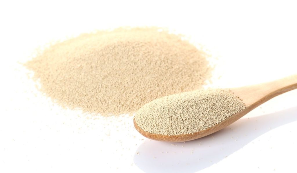 Propagating Wine Yeast How to Multiply Yeast To Save Money