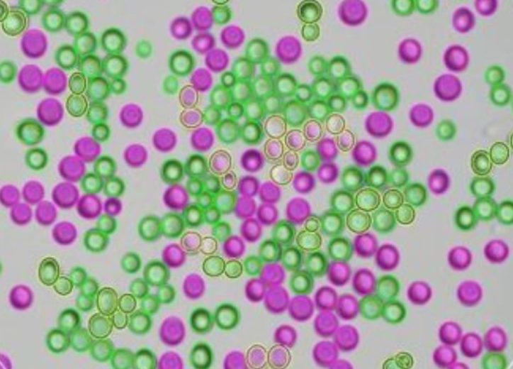 How to Describe the Smell of Beer The Range