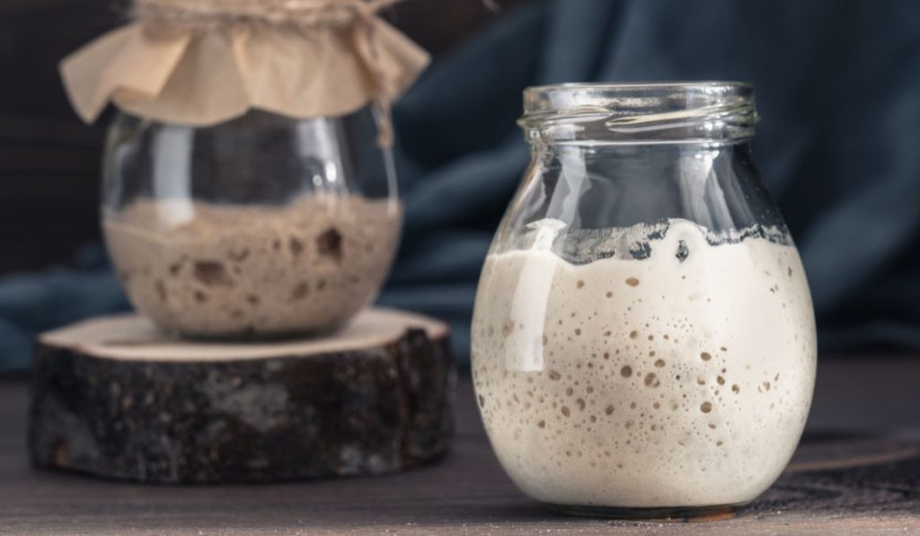 Should Sourdough Starter Smell Like Beer?