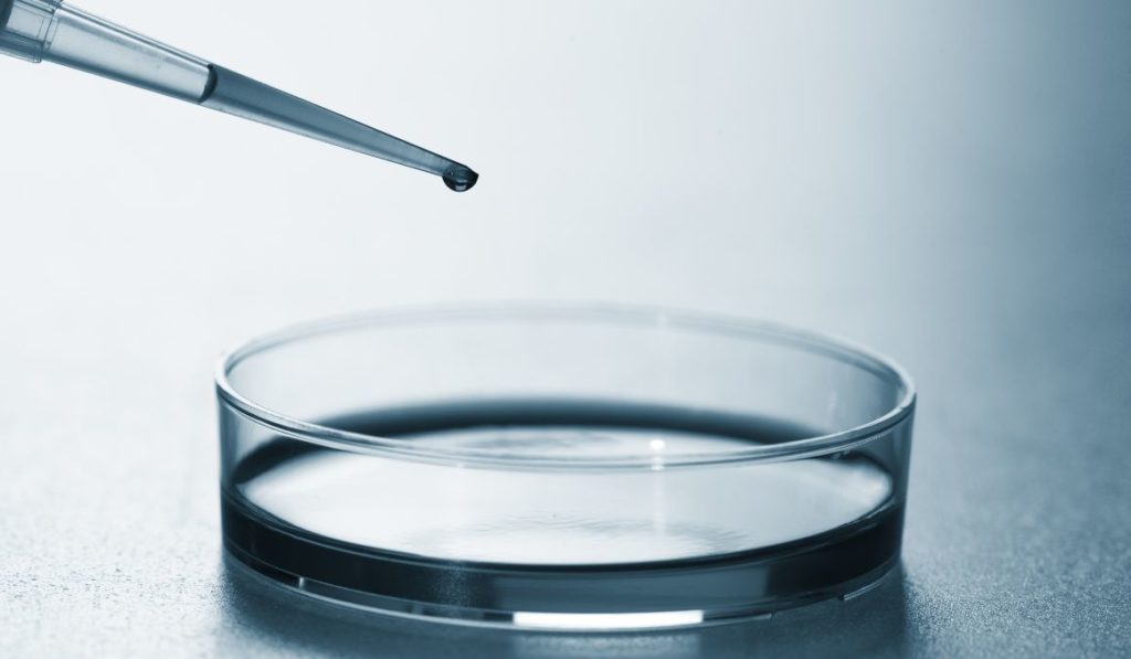 How to Keep Beer Yeast Alive