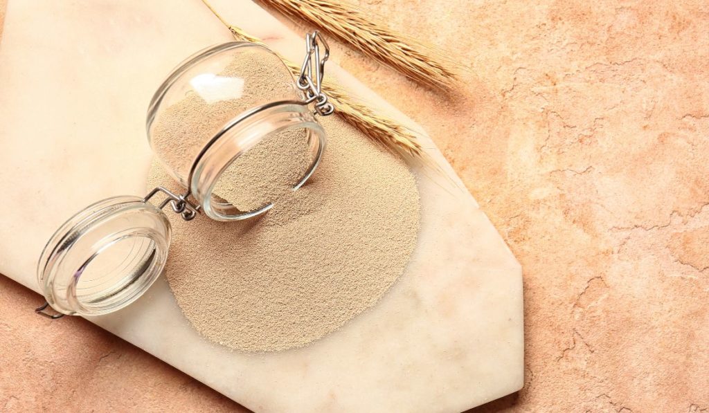 How to Keep Dry Yeast Alive