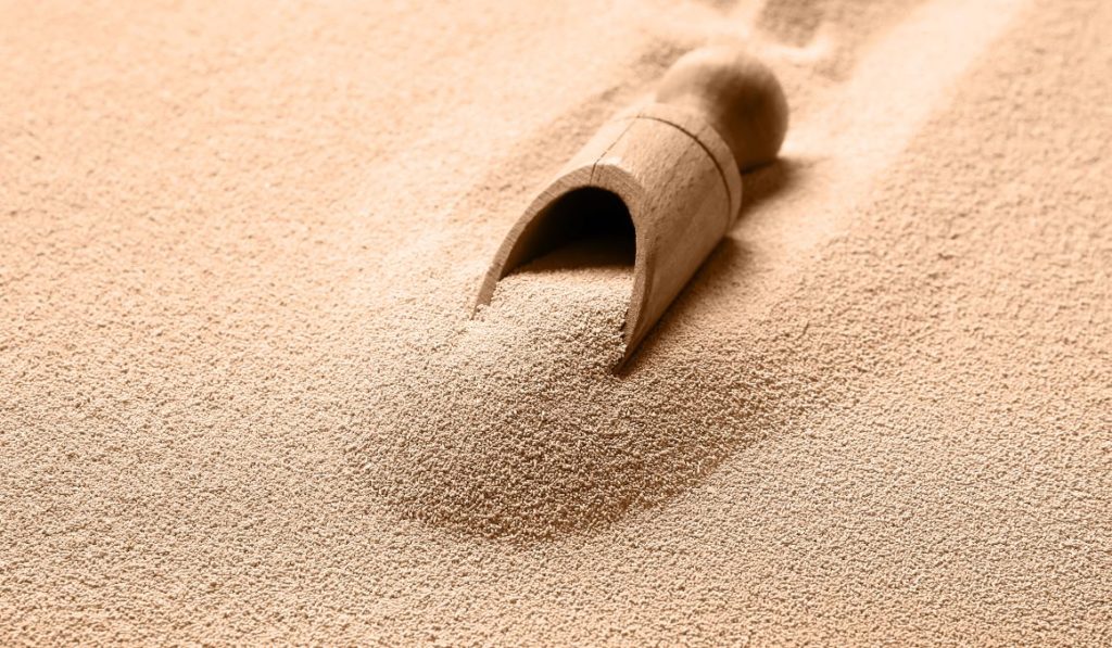 Is Dried Yeast Alive? Your Complete Guide