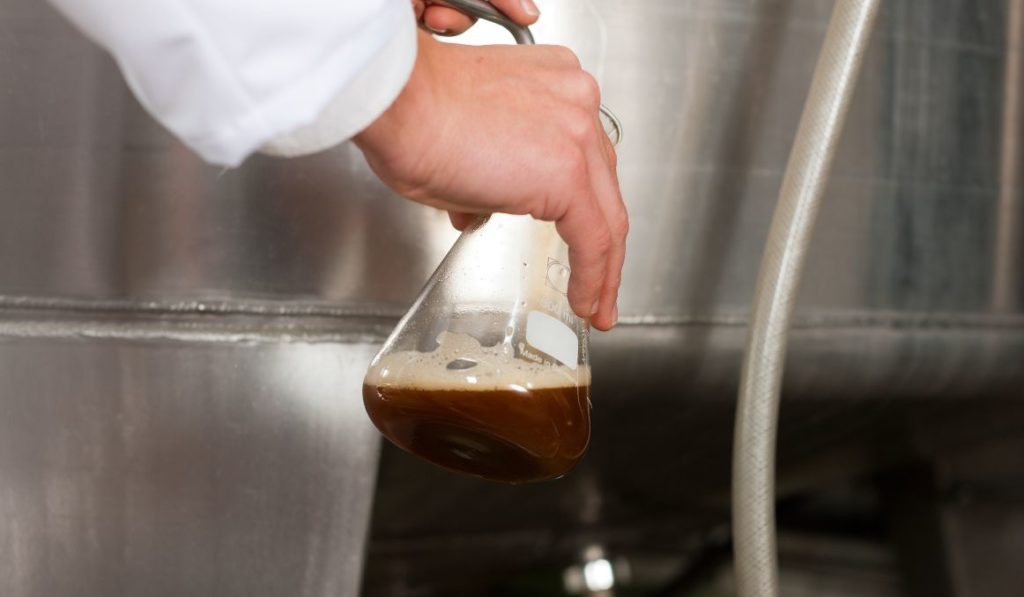 Yeast Propagation Calculator Do You Need One?