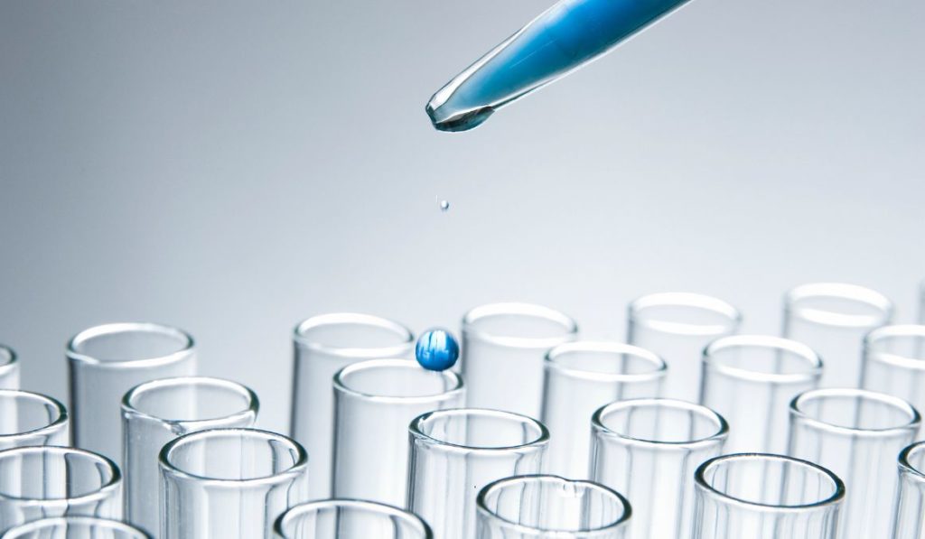 Beer Yeast Strains Chart The Flavor Profiles