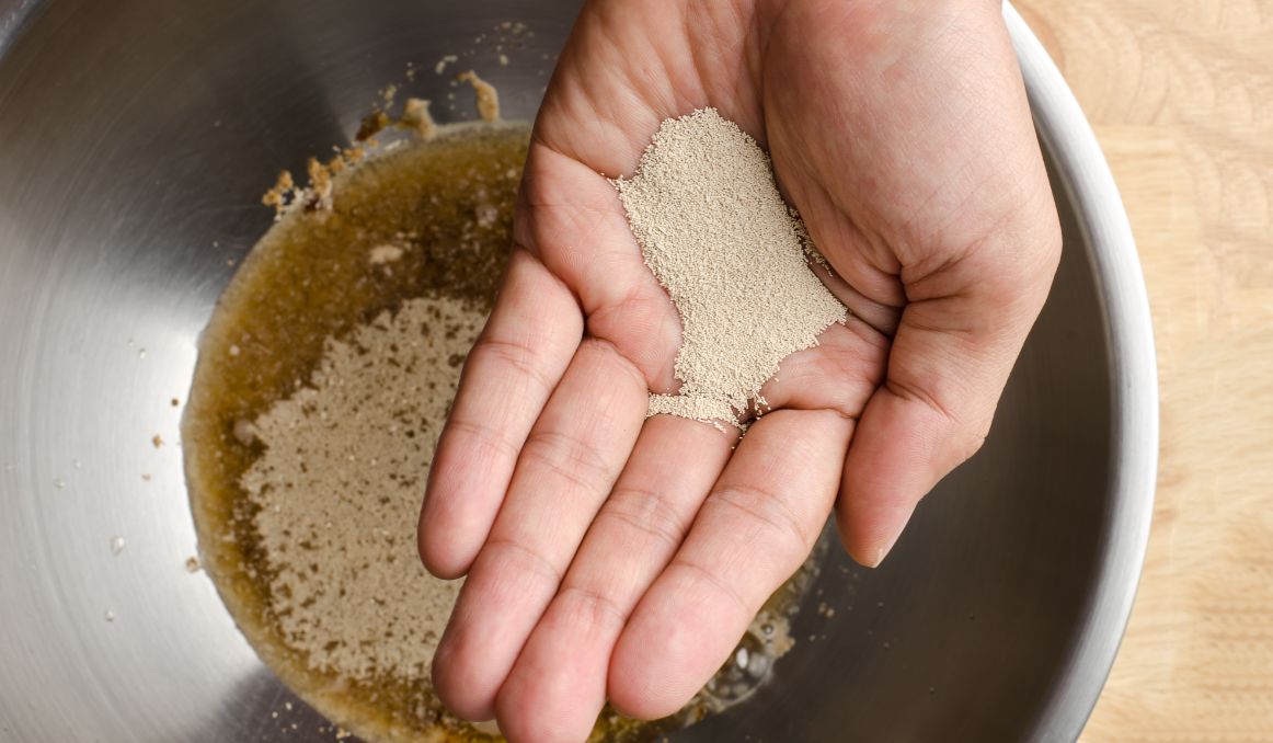 How to Rehydrate Dry Yeast for Beer