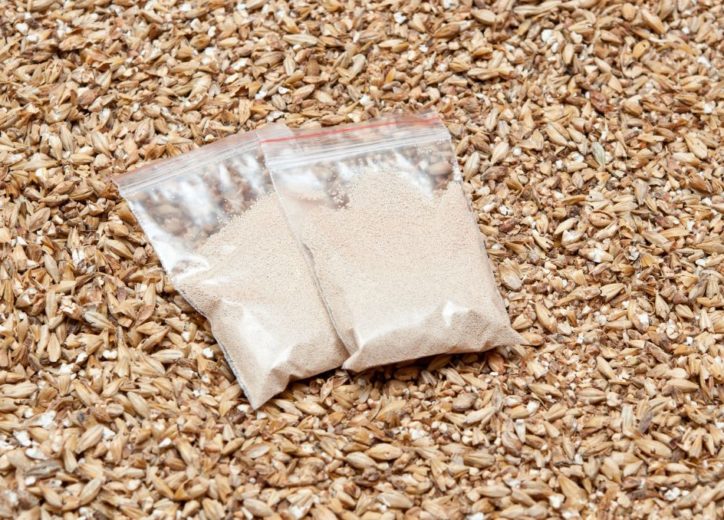 Butterscotch Beer Off Flavor What Causes It?