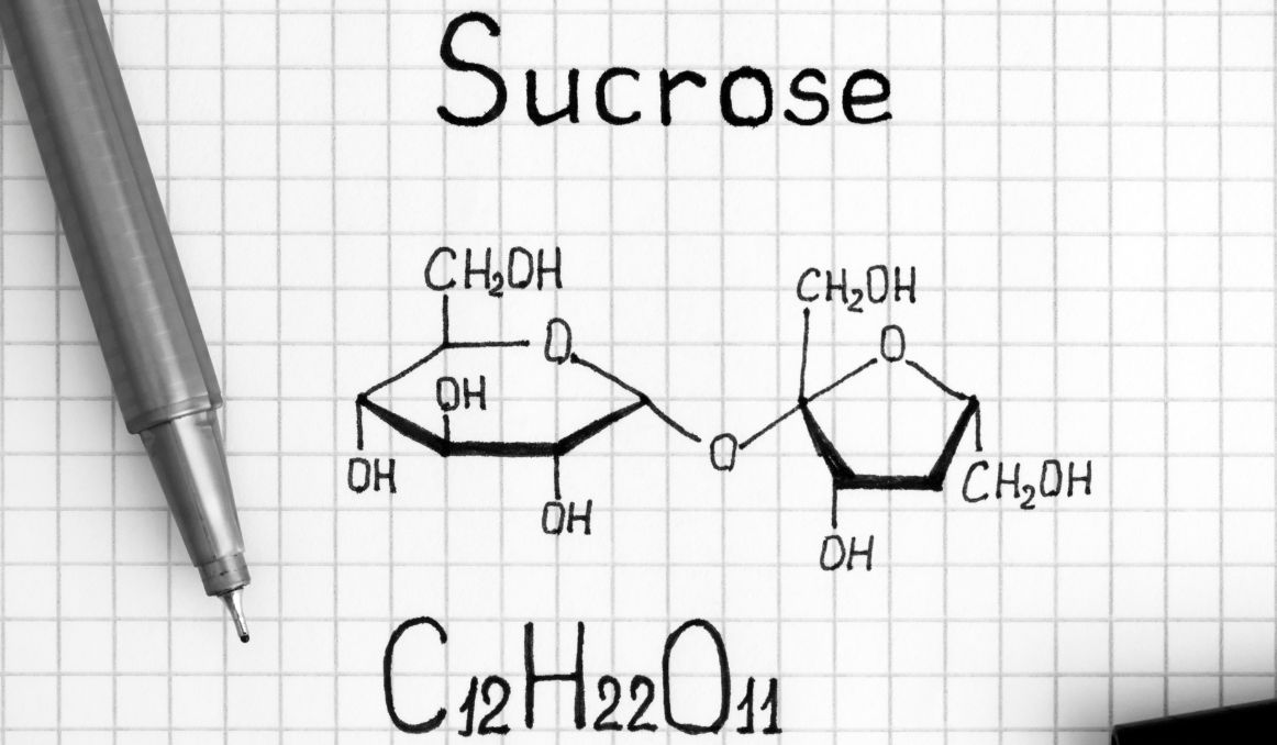 Can Yeast Use Sucrose for Fermentation