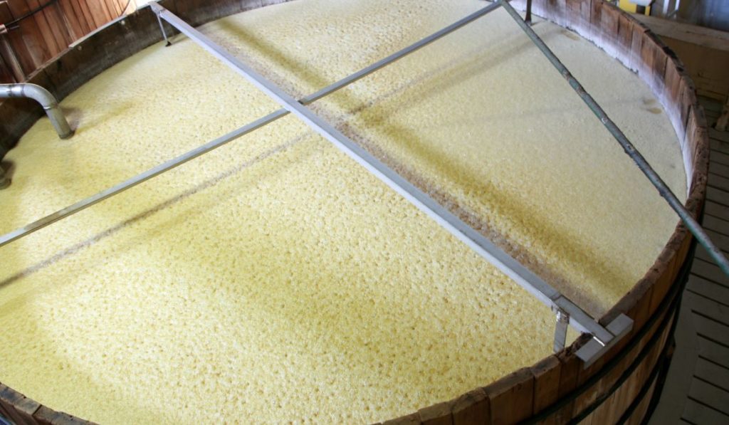 Does Yeast Multiply During Fermentation?