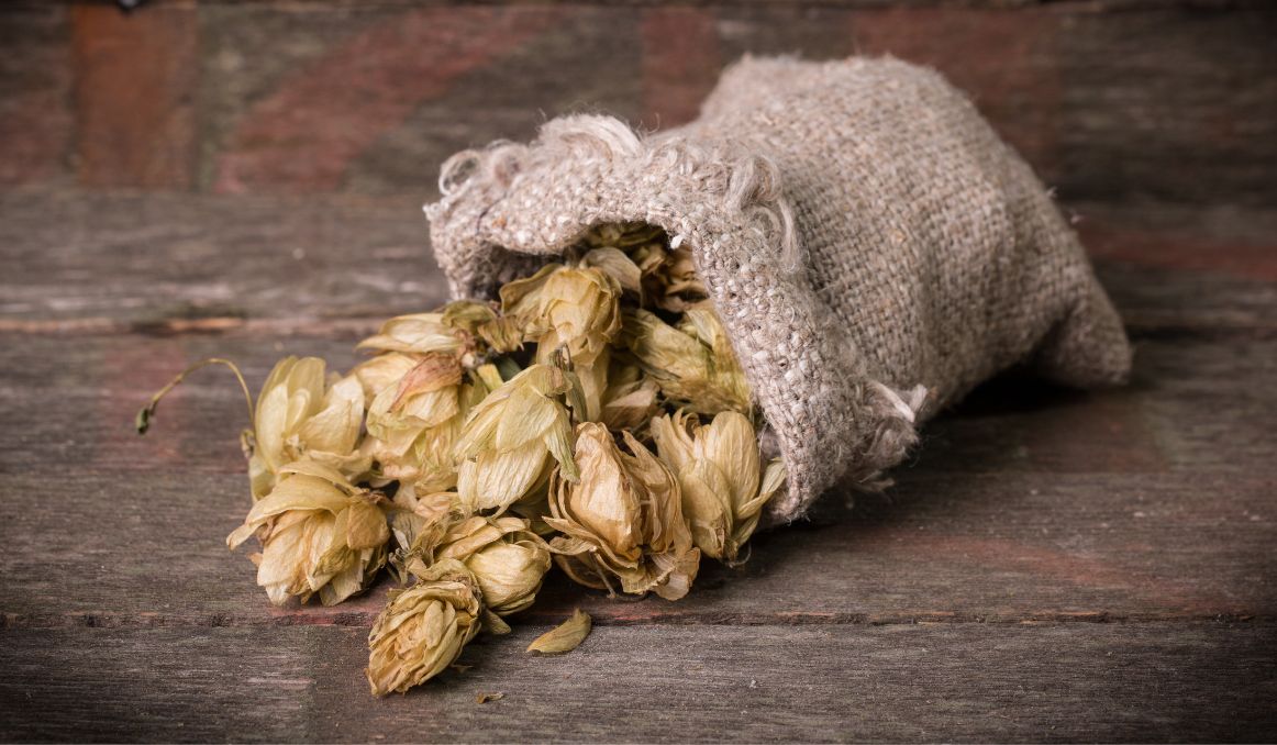 How to Dry Hop in a Carboy