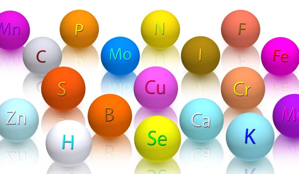 What is yeast nutrient substitute 