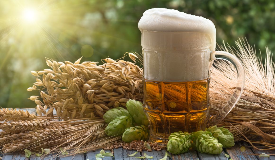 Barley beer