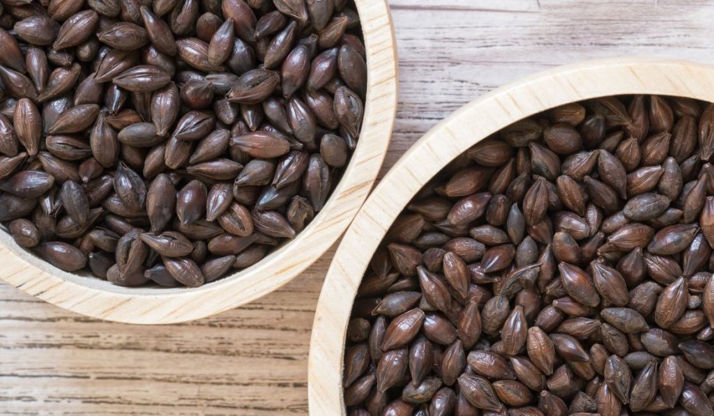 How to Store Liquid Malt Extract