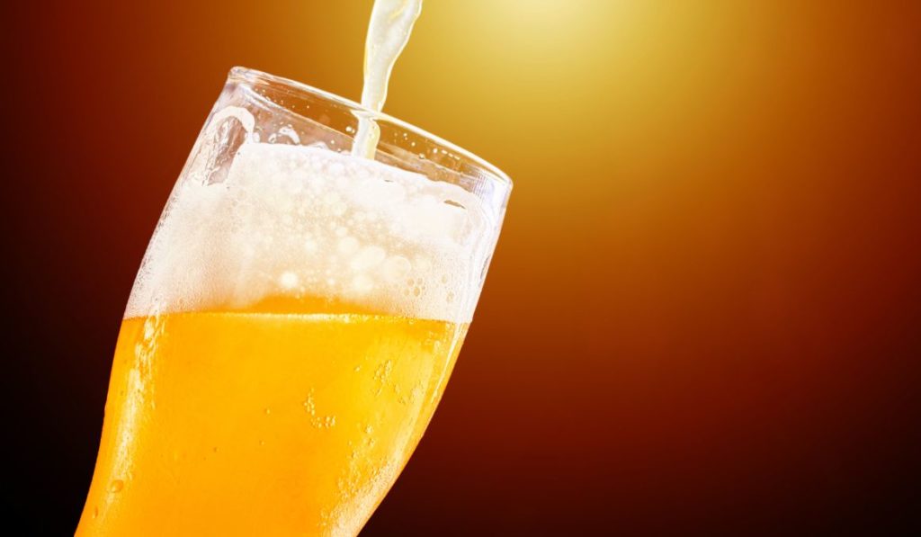 What Makes Beer Cloudy?