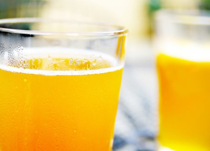 Organisms that Perform Fermentation