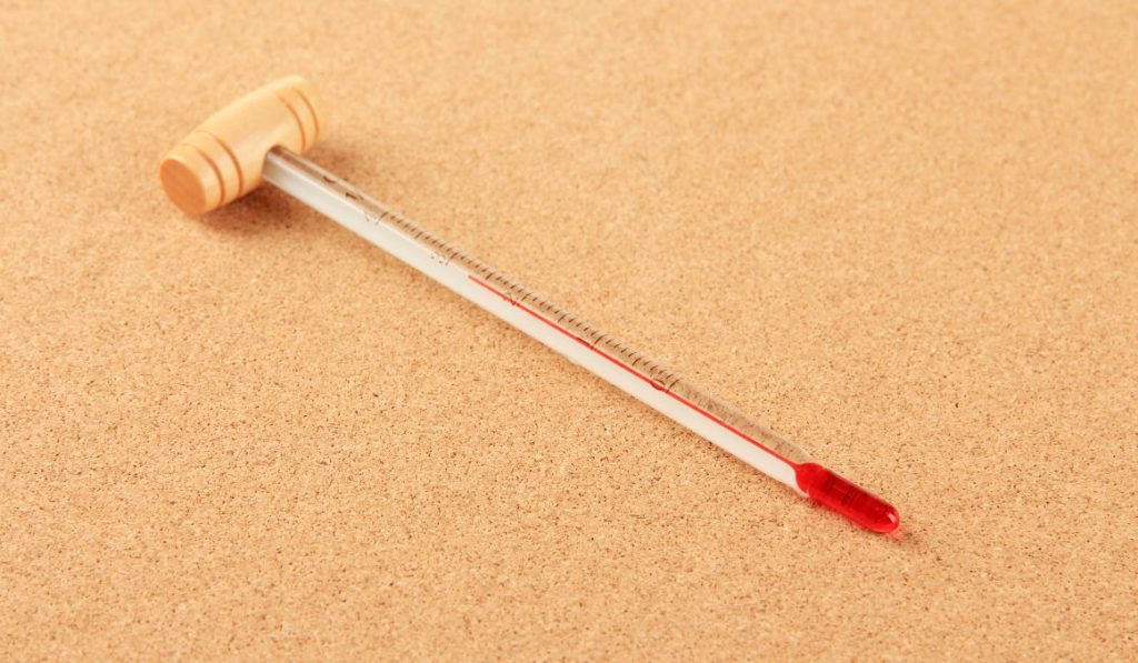 At What Temperature Does Yeast Die?