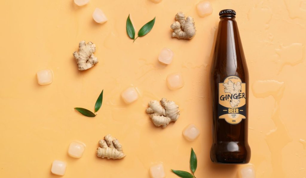 Ginger Ale, Refreshing Cold Carbonated Soft Drink Stock Illustration - Illustration Of Fizzy