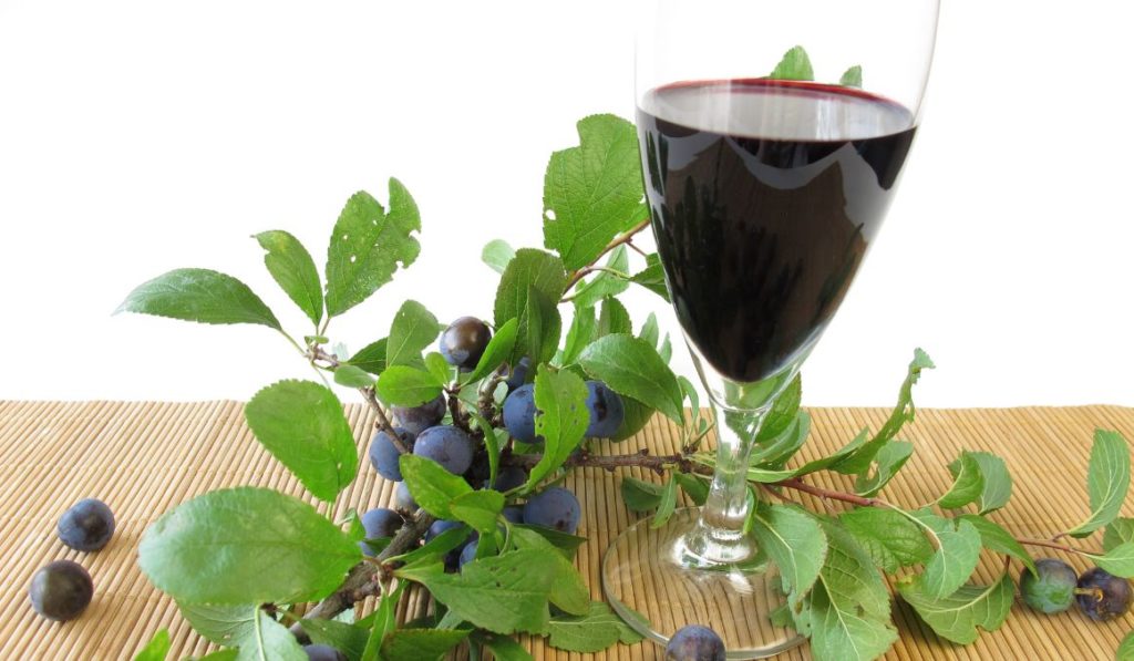 Best Yeast for Fruit Wine