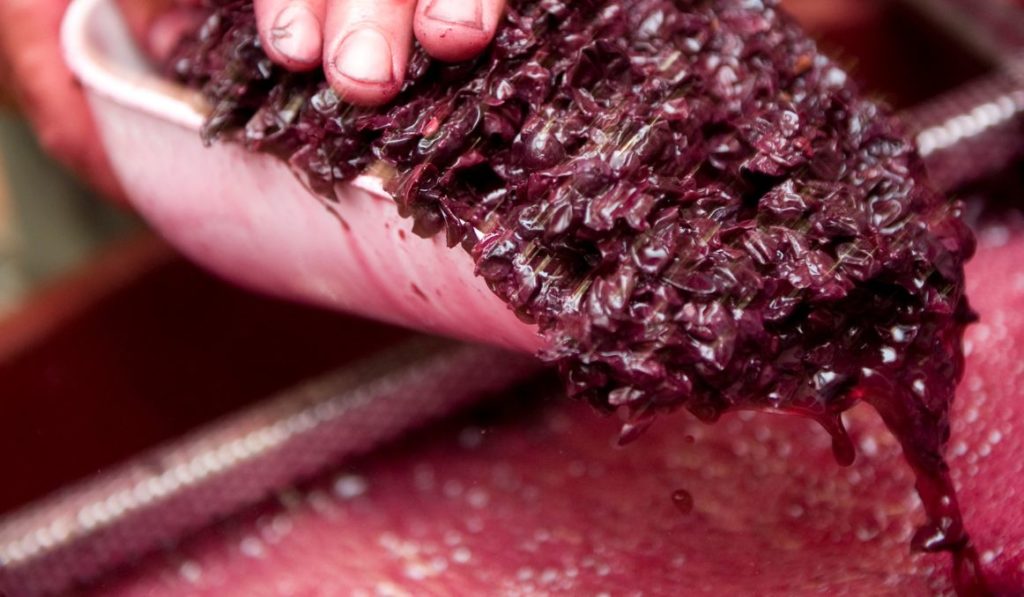 Can You Make Wine without Yeast?