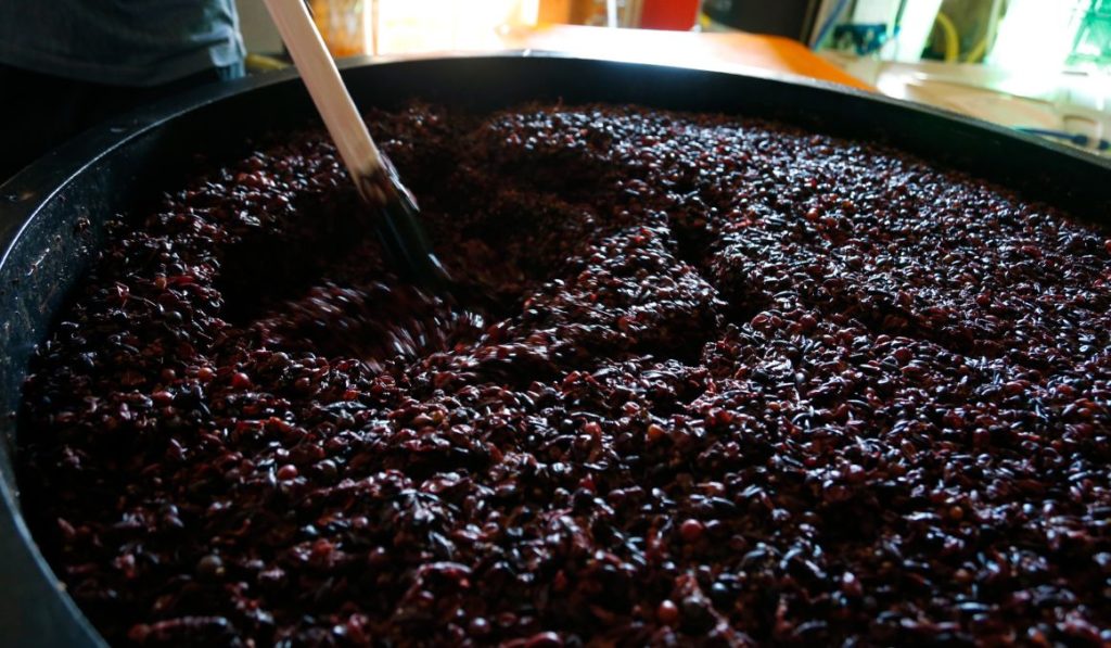 Can You Make Wine without Yeast?