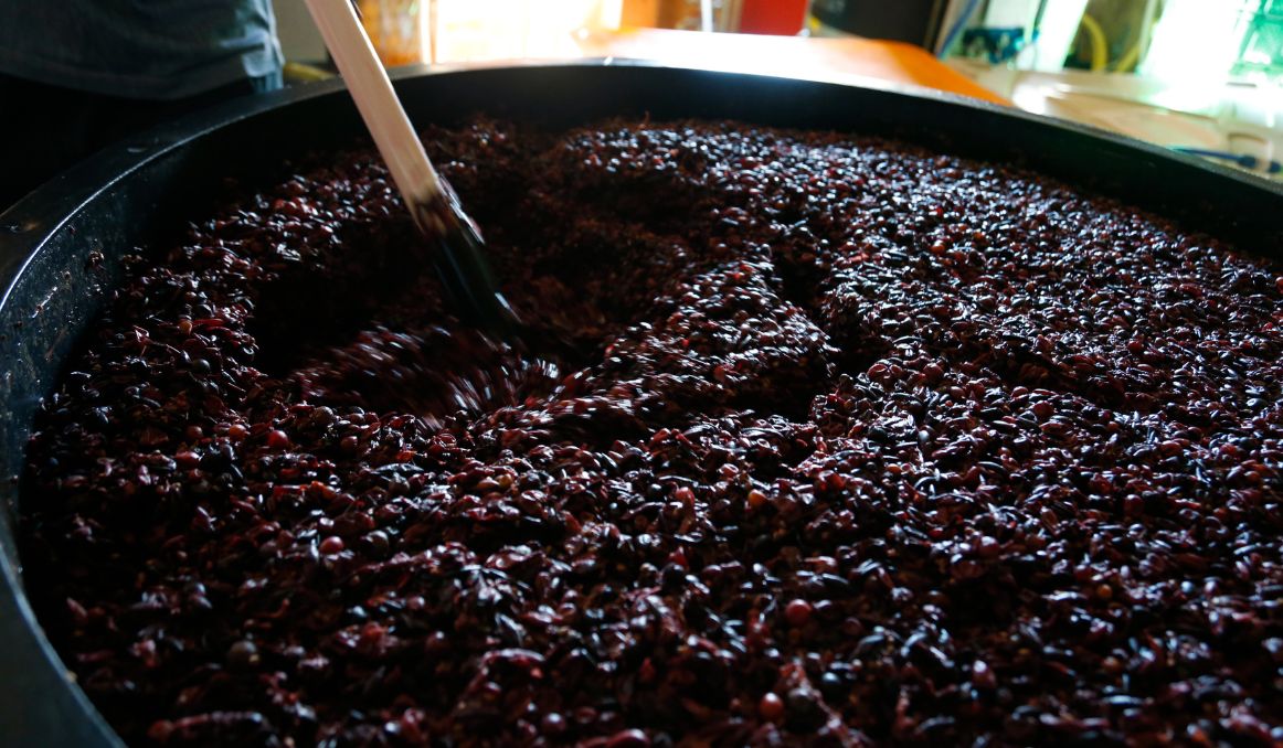 Can You Make Wine without Yeast?