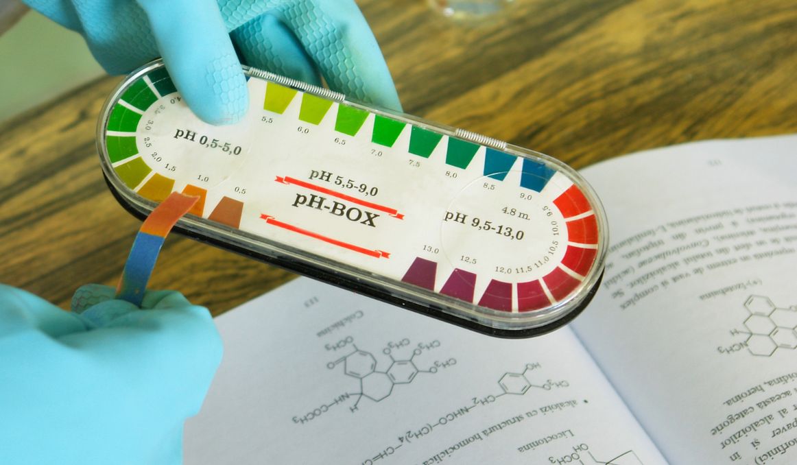 Is Beer Acidic or Alkaline?