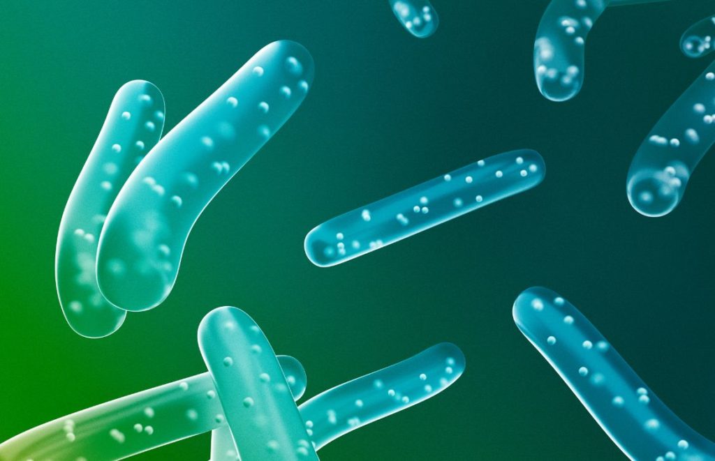 Does Beer Kill Bacteria?