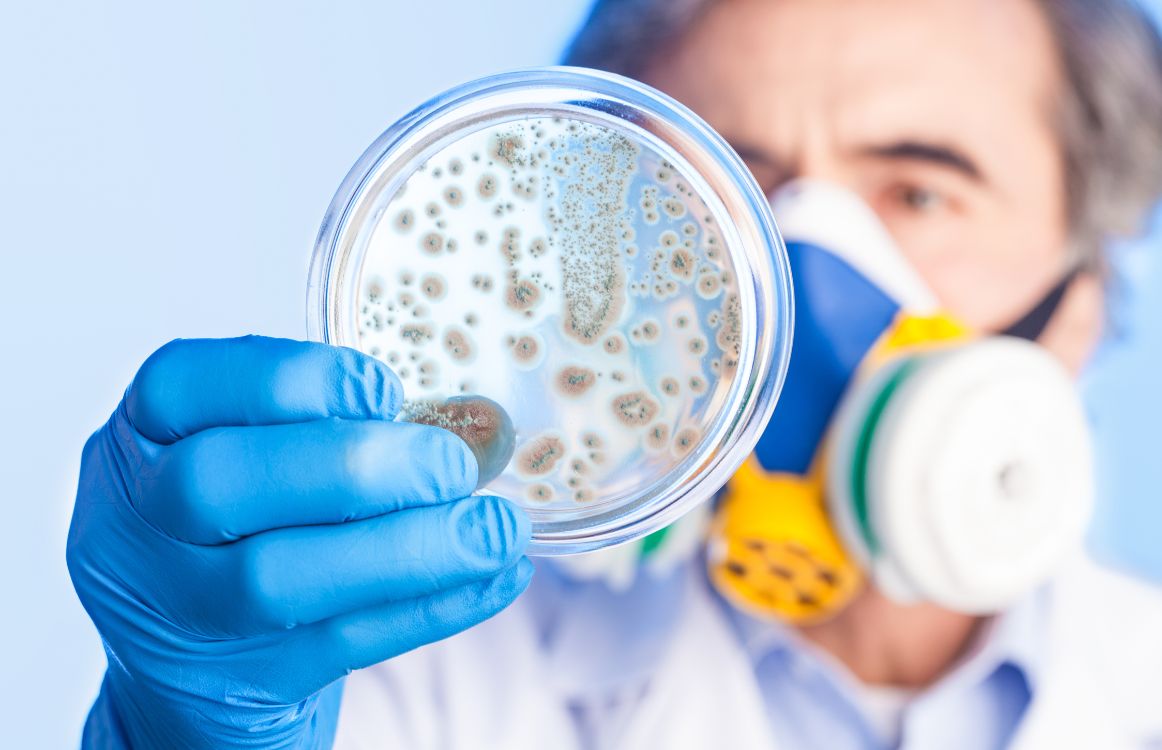 Does Beer Kill Bacteria?