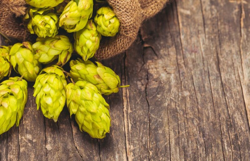 What Beers Are High in Hops?