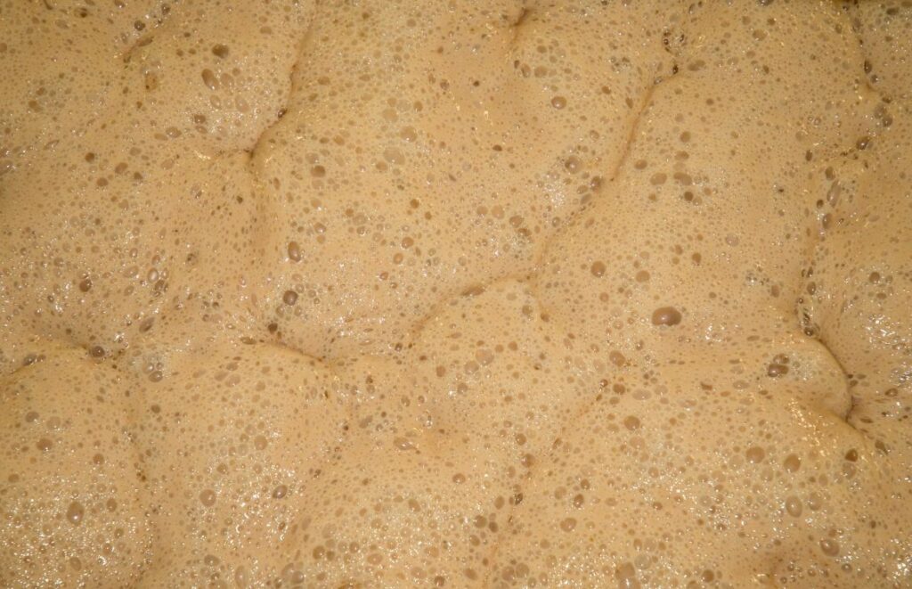 What Temperature to Pitch Yeast at?