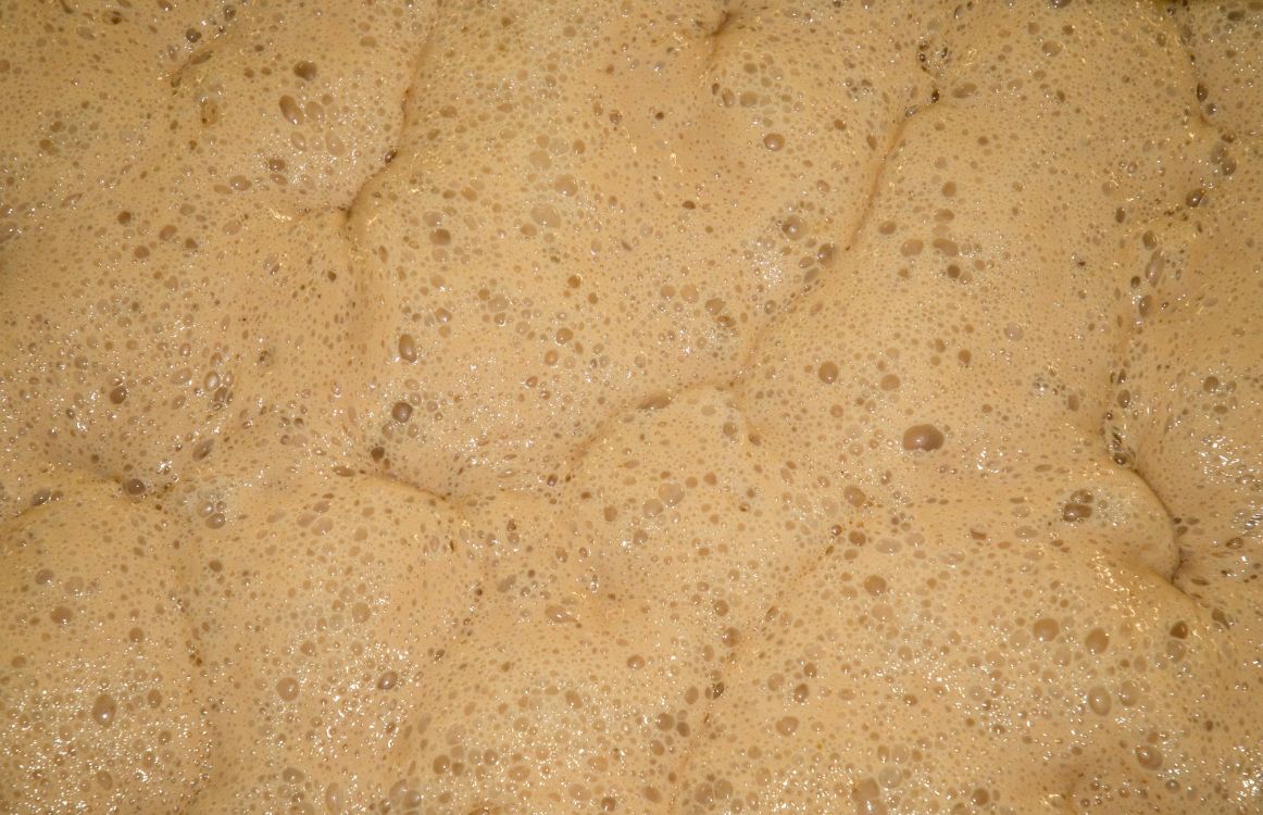 What Temperature to Pitch Yeast at?