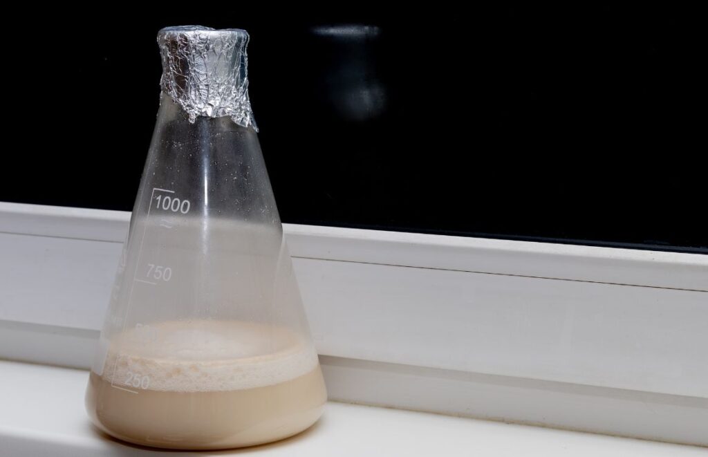 What Is The Yeast And Sugar Balloon Experiment what-is-the-yeast-and-sugar-balloon-experiment