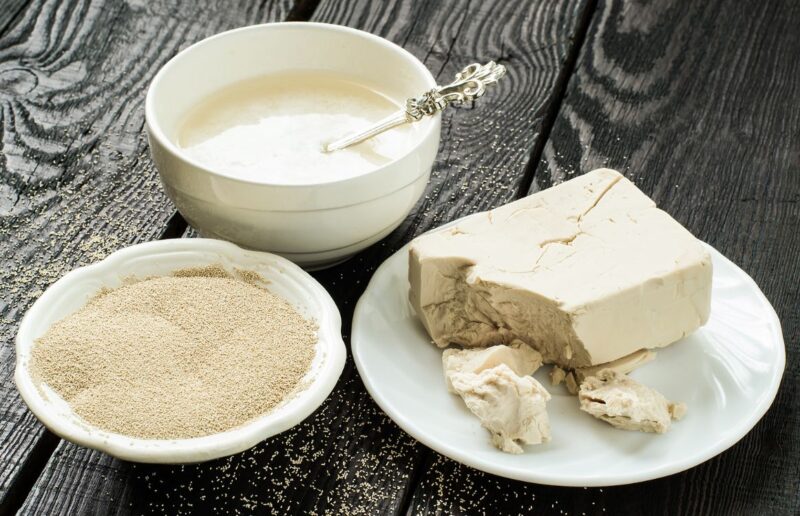 Yeast Storage Freezer Options