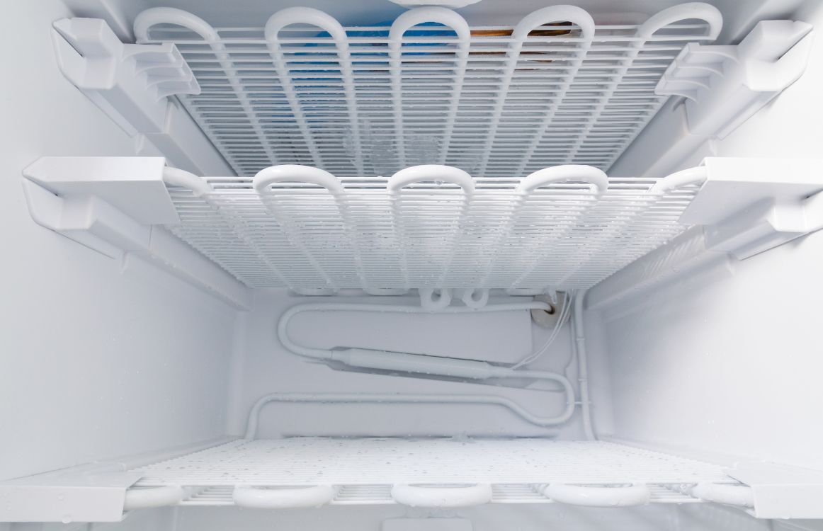 Yeast Storage Freezer Options